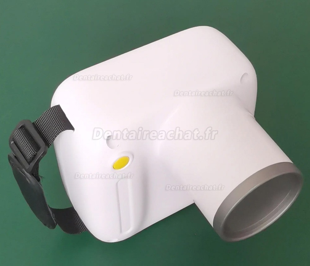 Appareil de radiographie dentaire portable de type carré, système d'imagerie dentaire RAY-341